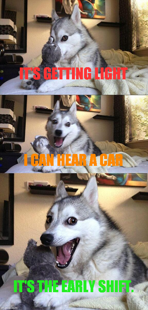 Bad Pun Dog | IT'S GETTING LIGHT; I CAN HEAR A CAR; IT'S THE EARLY SHIFT. | image tagged in memes,bad pun dog | made w/ Imgflip meme maker