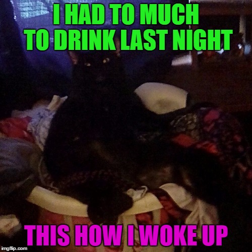 I HAD TO MUCH TO DRINK LAST NIGHT; THIS HOW I WOKE UP | image tagged in shady | made w/ Imgflip meme maker