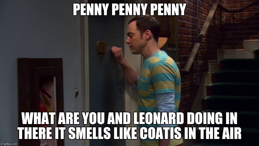 PENNY PENNY PENNY WHAT ARE YOU AND LEONARD DOING IN THERE IT SMELLS LIKE COATIS IN THE AIR | made w/ Imgflip meme maker