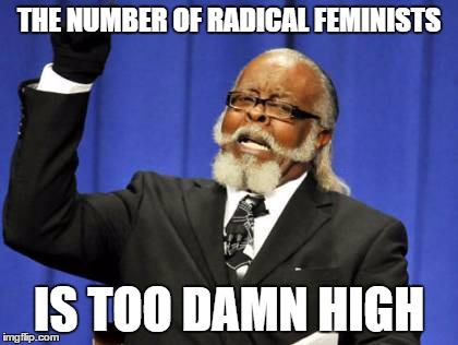 Too Damn High Meme | THE NUMBER OF RADICAL FEMINISTS; IS TOO DAMN HIGH | image tagged in memes,too damn high | made w/ Imgflip meme maker