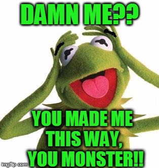 DAMN ME?? YOU MADE ME THIS WAY,  YOU MONSTER!! | image tagged in scared kermit | made w/ Imgflip meme maker