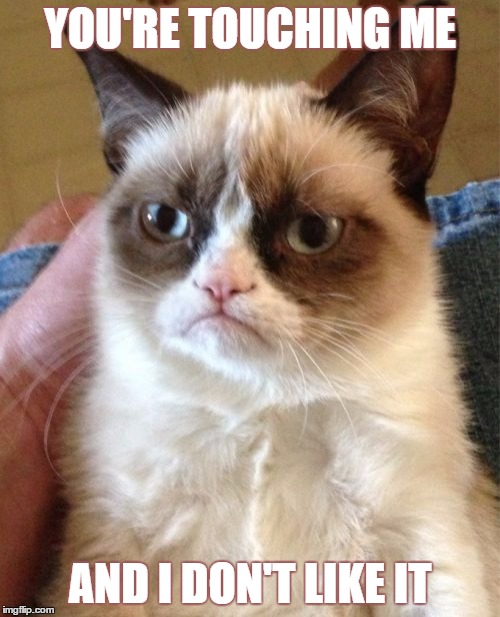 The look she gets when you pissed her off and try to give her a hug | YOU'RE TOUCHING ME; AND I DON'T LIKE IT | image tagged in memes,grumpy cat,facebook,funny | made w/ Imgflip meme maker