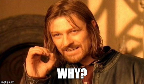 One Does Not Simply Meme | WHY? | image tagged in memes,one does not simply | made w/ Imgflip meme maker