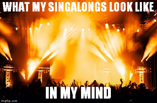 rock concert | WHAT MY SINGALONGS LOOK LIKE; IN MY MIND | image tagged in rock concert | made w/ Imgflip meme maker