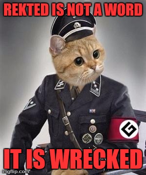 Grammar Nazi Cat | REKTED IS NOT A WORD; IT IS WRECKED | image tagged in grammar nazi cat | made w/ Imgflip meme maker