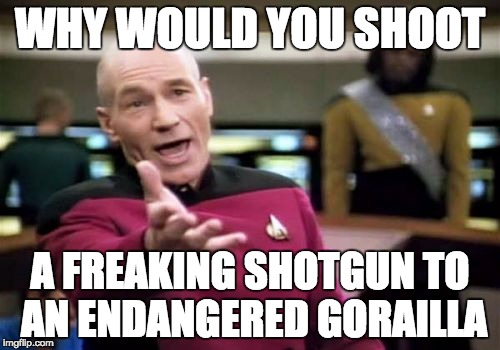 Picard Wtf | WHY WOULD YOU SHOOT; A FREAKING SHOTGUN TO AN ENDANGERED GORAILLA | image tagged in memes,picard wtf | made w/ Imgflip meme maker
