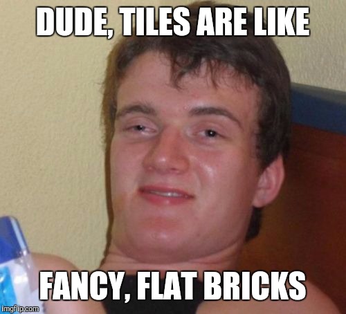 If you saw something surprising, these "flat bricks" would probably hurt coming out more than normal ones. | DUDE, TILES ARE LIKE; FANCY, FLAT BRICKS | image tagged in memes,10 guy | made w/ Imgflip meme maker