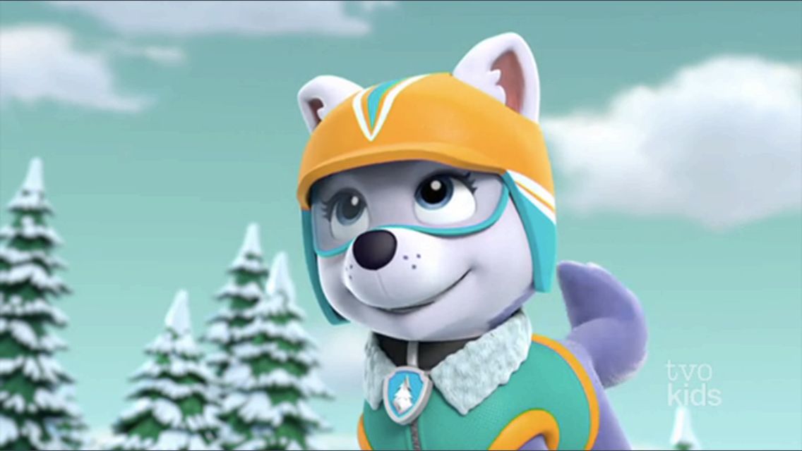 Everest PAW Patrol Blank Meme Template