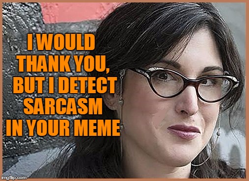 feminist Zeisler | I WOULD THANK YOU,  BUT I DETECT SARCASM IN YOUR MEME | image tagged in feminist zeisler | made w/ Imgflip meme maker