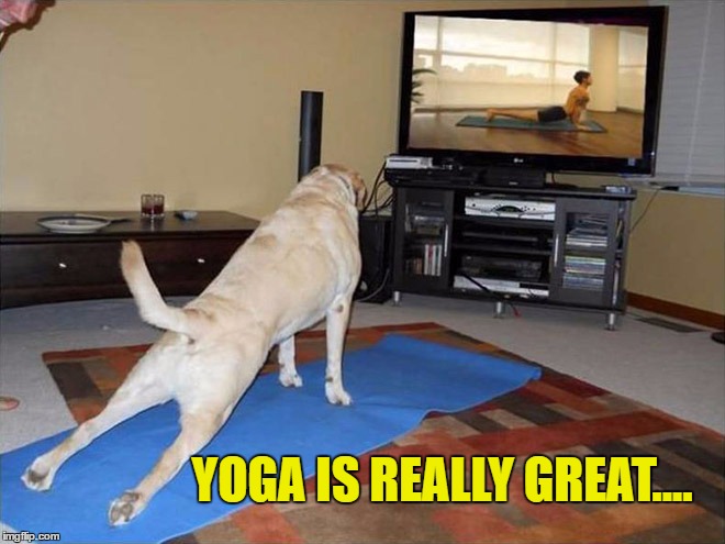 YOGA IS REALLY GREAT.... | made w/ Imgflip meme maker