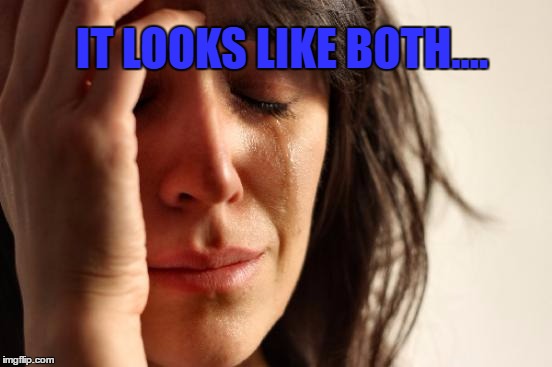 First World Problems Meme | IT LOOKS LIKE BOTH.... | image tagged in memes,first world problems | made w/ Imgflip meme maker