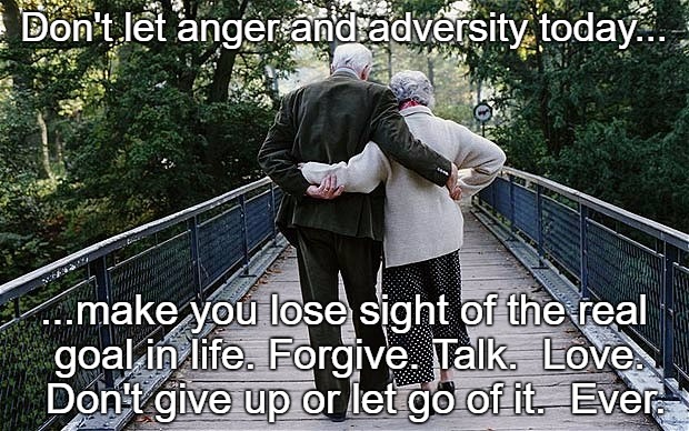True Happiness | Don't let anger and adversity today... ...make you lose sight of the real goal in life. Forgive. Talk.  Love.  Don't give up or let go of it.  Ever. | image tagged in old couple on bridge | made w/ Imgflip meme maker