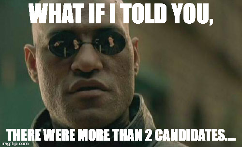 Matrix Morpheus Meme | WHAT IF I TOLD YOU, THERE WERE MORE THAN 2 CANDIDATES.... | image tagged in memes,matrix morpheus | made w/ Imgflip meme maker