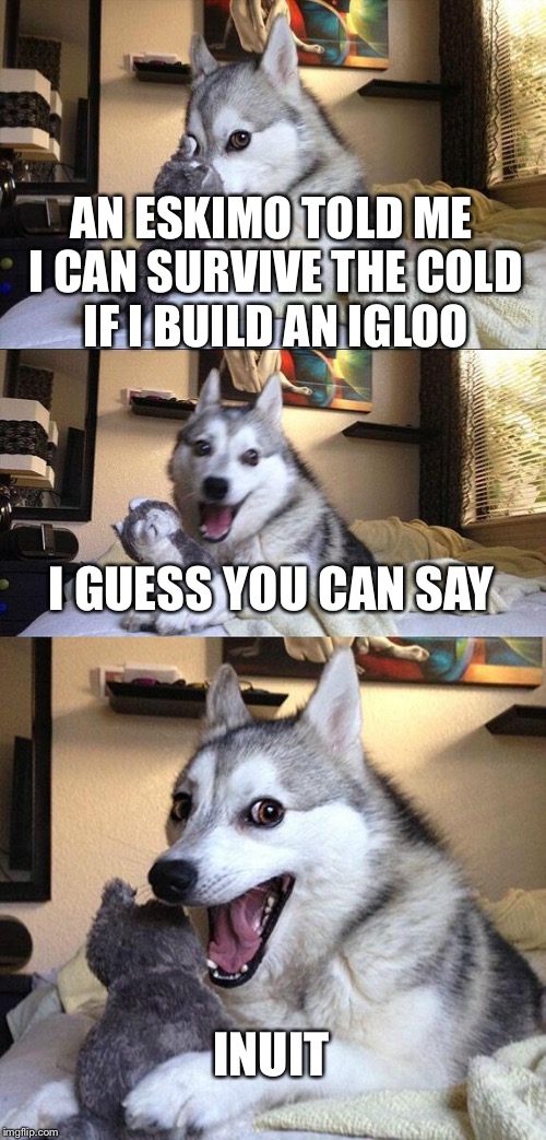 Bad Pun Dog Meme | AN ESKIMO TOLD ME I CAN SURVIVE THE COLD IF I BUILD AN IGLOO; I GUESS YOU CAN SAY; INUIT | image tagged in memes,bad pun dog | made w/ Imgflip meme maker