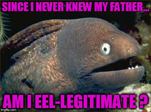 Bad Joke Eel Meme | SINCE I NEVER KNEW MY FATHER... AM I EEL-LEGITIMATE ? | image tagged in memes,bad joke eel | made w/ Imgflip meme maker