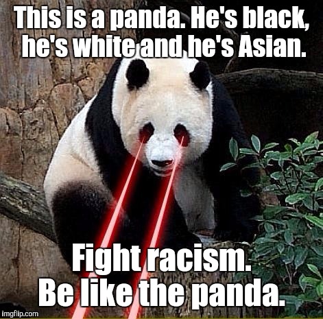 1b7oi0.jpg | This is a panda. He's black,  he's white and he's Asian. Fight racism. Be like the panda. | image tagged in 1b7oi0jpg | made w/ Imgflip meme maker