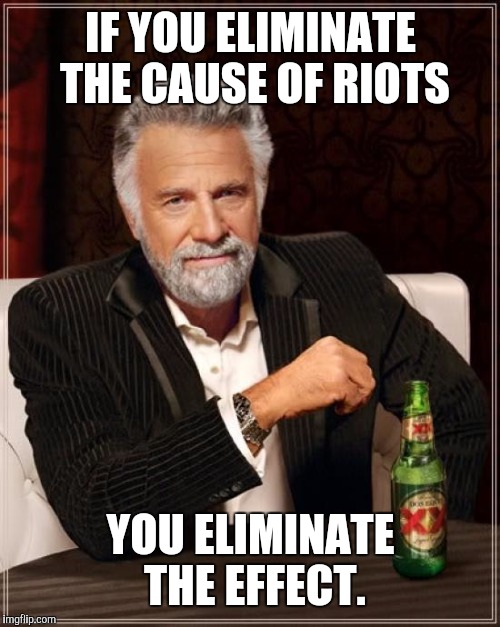 The Most Interesting Man In The World Meme | IF YOU ELIMINATE THE CAUSE OF RIOTS YOU ELIMINATE THE EFFECT. | image tagged in memes,the most interesting man in the world | made w/ Imgflip meme maker