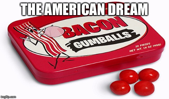 THE AMERICAN DREAM | image tagged in memes | made w/ Imgflip meme maker