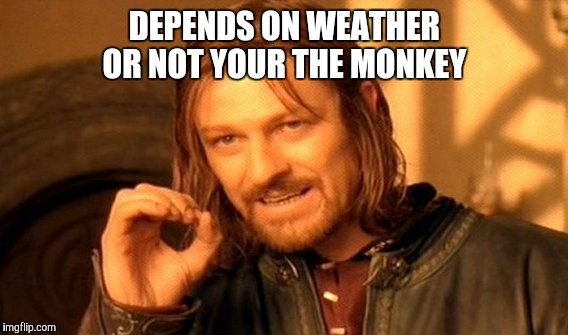 One Does Not Simply Meme | DEPENDS ON WEATHER OR NOT YOUR THE MONKEY | image tagged in memes,one does not simply | made w/ Imgflip meme maker