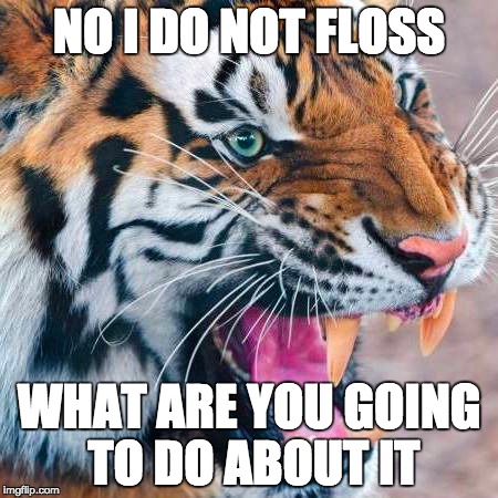 i dare you say that | NO I DO NOT FLOSS; WHAT ARE YOU GOING TO DO ABOUT IT | image tagged in one does not simply,say that again i dare you | made w/ Imgflip meme maker