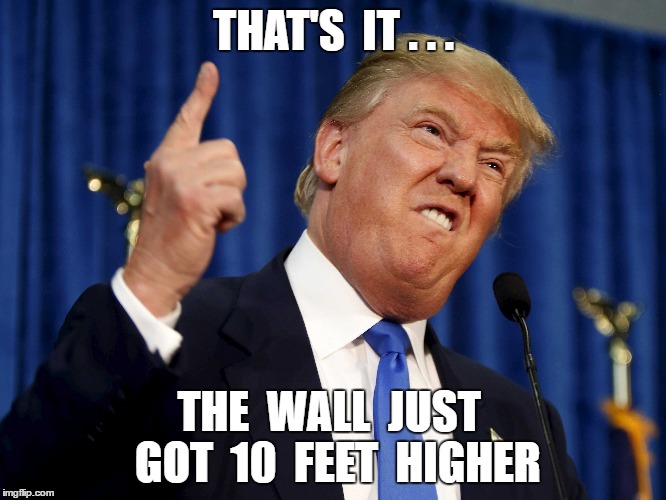 10 feet higher | THAT'S  IT . . . THE  WALL  JUST  GOT  10  FEET  HIGHER | image tagged in donald trump,politics,potus | made w/ Imgflip meme maker