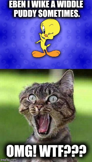 Saw this on a tee shirt when I was a Carny as a teen | EBEN I WIKE A WIDDLE PUDDY SOMETIMES. OMG! WTF??? | image tagged in tweety bird,shocked cat,nsfw | made w/ Imgflip meme maker