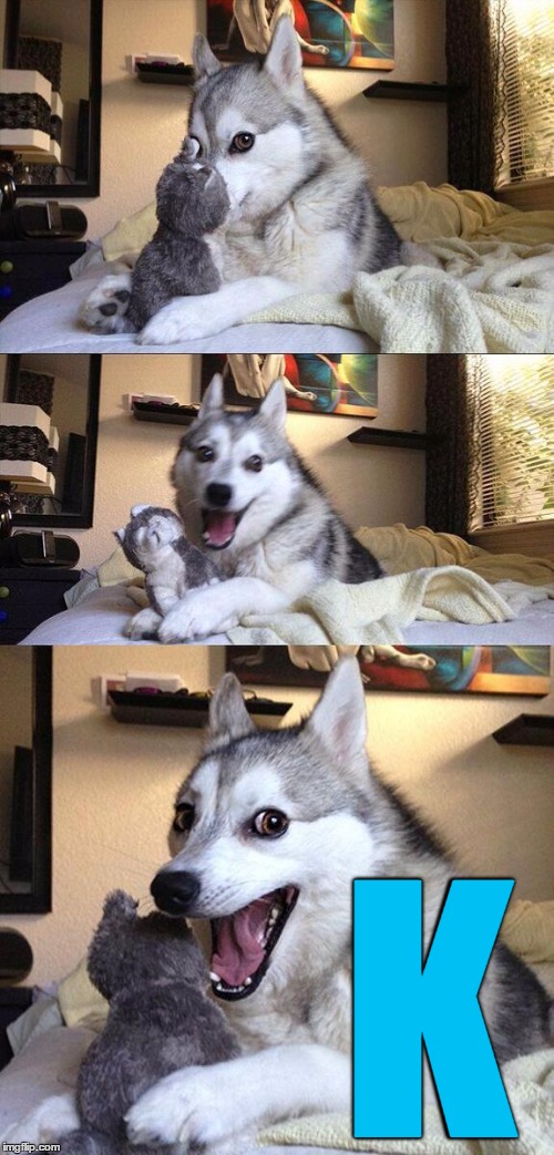 Bad Pun Dog | K | image tagged in memes,bad pun dog | made w/ Imgflip meme maker