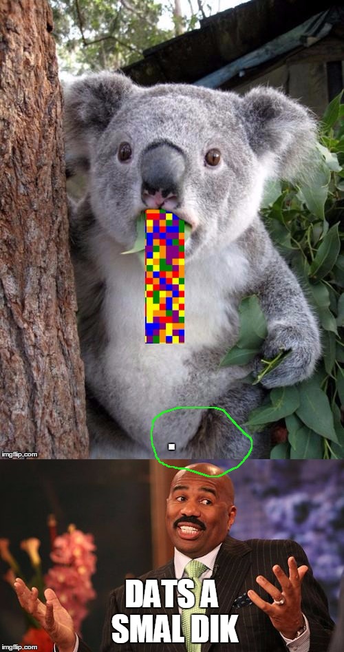 DATS A SMAL DIK | made w/ Imgflip meme maker