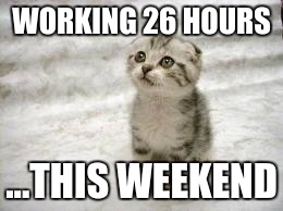 Sad Cat Meme | WORKING 26 HOURS; ...THIS WEEKEND | image tagged in memes,sad cat | made w/ Imgflip meme maker
