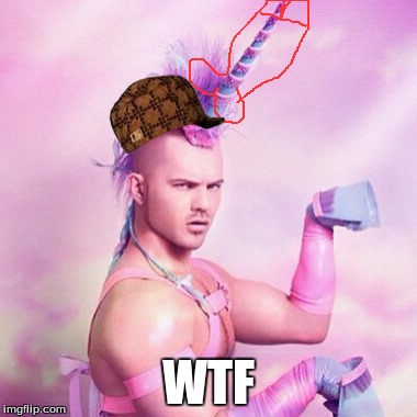 Unicorn MAN Meme | WTF | image tagged in memes,unicorn man,scumbag | made w/ Imgflip meme maker