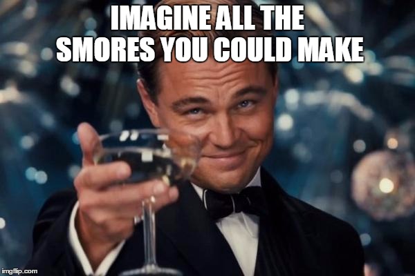 Leonardo Dicaprio Cheers Meme | IMAGINE ALL THE SMORES YOU COULD MAKE | image tagged in memes,leonardo dicaprio cheers | made w/ Imgflip meme maker