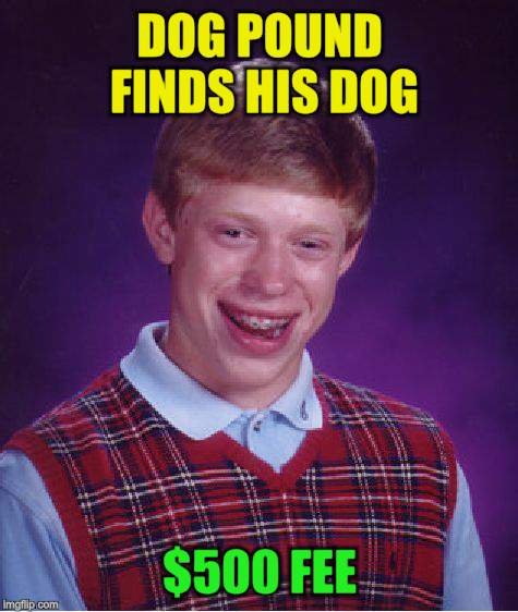 Bad Luck Brian Meme | DOG POUND FINDS HIS DOG $500 FEE | image tagged in memes,bad luck brian | made w/ Imgflip meme maker