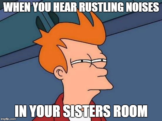 Futurama Fry | WHEN YOU HEAR RUSTLING NOISES; IN YOUR SISTERS ROOM | image tagged in memes,futurama fry | made w/ Imgflip meme maker