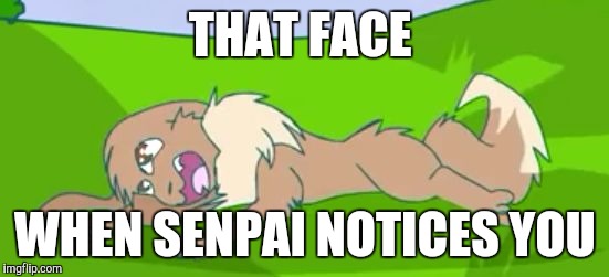  THAT FACE; WHEN SENPAI NOTICES YOU | image tagged in noticed | made w/ Imgflip meme maker