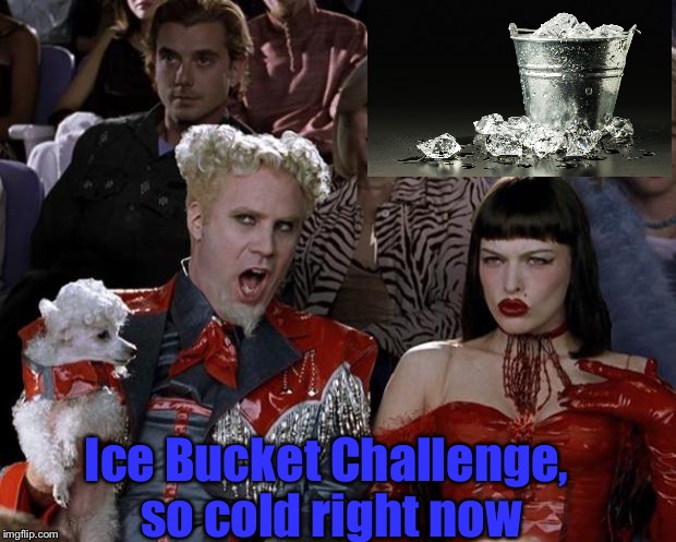 Probably a year too late, but up if you still remember the ice bucket challenge! | Ice Bucket Challenge, so cold right now | image tagged in memes,mugatu so hot right now,ice bucket challenge,funny,cold | made w/ Imgflip meme maker