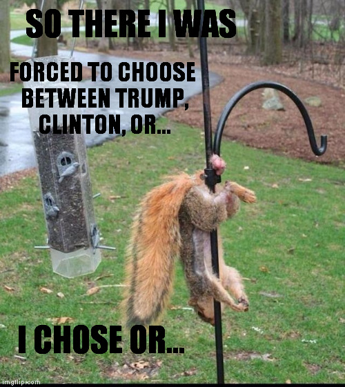 So there I was..... | SO THERE I WAS; FORCED TO CHOOSE BETWEEN TRUMP, CLINTON, OR... I CHOSE OR... | image tagged in trump,clinton,wtf hillary,donald trump | made w/ Imgflip meme maker