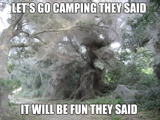 Uh, how 'bout nooooooo....? | LET'S GO CAMPING THEY SAID; IT WILL BE FUN THEY SAID | image tagged in it will be fun they said | made w/ Imgflip meme maker
