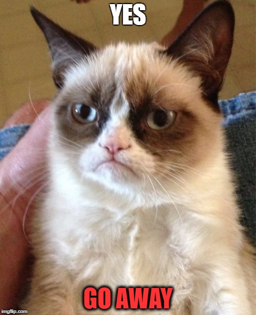 Grumpy Cat Meme | YES GO AWAY | image tagged in memes,grumpy cat | made w/ Imgflip meme maker