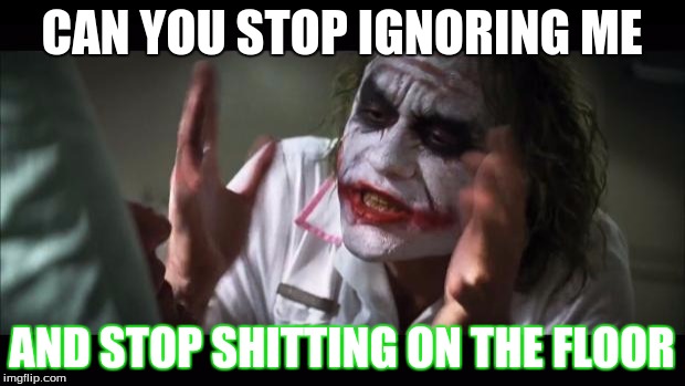 Funny Joker | CAN YOU STOP IGNORING ME; AND STOP SHITTING ON THE FLOOR | image tagged in memes,and everybody loses their minds | made w/ Imgflip meme maker