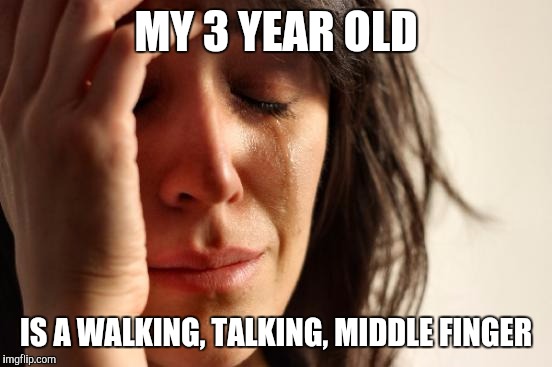 First World Problems | MY 3 YEAR OLD; IS A WALKING, TALKING, MIDDLE FINGER | image tagged in memes,first world problems | made w/ Imgflip meme maker