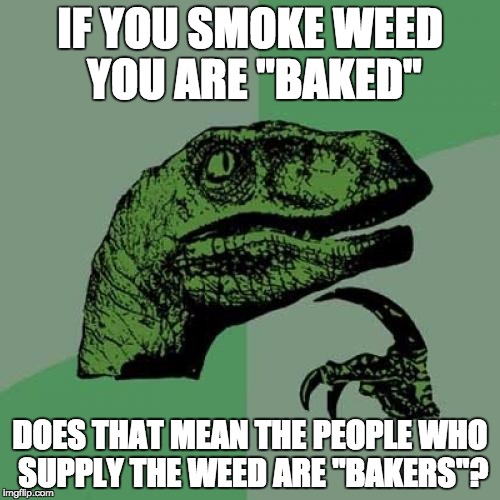 Philosoraptor | IF YOU SMOKE WEED YOU ARE "BAKED"; DOES THAT MEAN THE PEOPLE WHO SUPPLY THE WEED ARE "BAKERS"? | image tagged in memes,philosoraptor | made w/ Imgflip meme maker