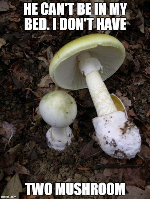 HE CAN'T BE IN MY BED. I DON'T HAVE TWO MUSHROOM | image tagged in two mushroom | made w/ Imgflip meme maker