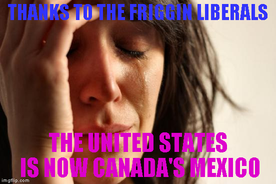 First World Problems | THANKS TO THE FRIGGIN LIBERALS; THE UNITED STATES IS NOW CANADA'S MEXICO | image tagged in memes,first world problems | made w/ Imgflip meme maker