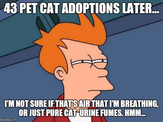 Futurama Fry Meme | 43 PET CAT ADOPTIONS LATER... I'M NOT SURE IF THAT'S AIR THAT I'M BREATHING, OR JUST PURE CAT  URINE FUMES. HMM... | image tagged in memes,futurama fry | made w/ Imgflip meme maker