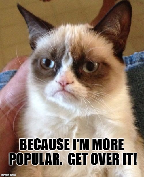 Grumpy Cat Meme | BECAUSE I'M MORE POPULAR.  GET OVER IT! | image tagged in memes,grumpy cat | made w/ Imgflip meme maker