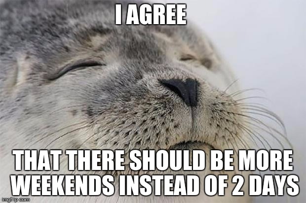 Satisfied Seal Meme | I AGREE; THAT THERE SHOULD BE MORE WEEKENDS INSTEAD OF 2 DAYS | image tagged in memes,satisfied seal | made w/ Imgflip meme maker