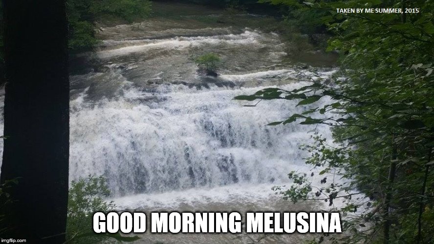 GOOD MORNING MELUSINA | made w/ Imgflip meme maker