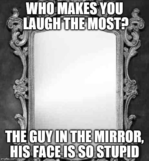 Mirror | WHO MAKES YOU LAUGH THE MOST? THE GUY IN THE MIRROR, HIS FACE IS SO STUPID | image tagged in mirror | made w/ Imgflip meme maker