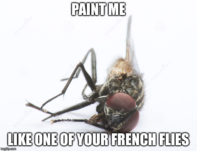 French fly | PAINT ME LIKE ONE OF YOUR FRENCH FLIES | image tagged in french fly | made w/ Imgflip meme maker