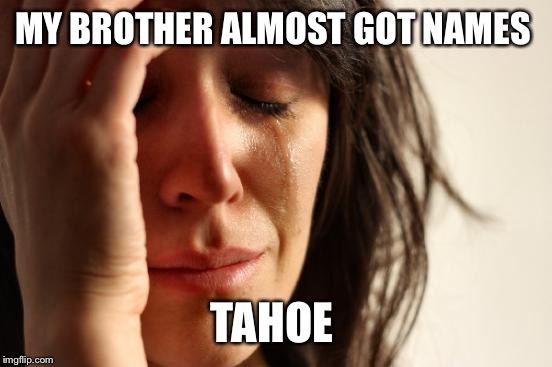 First World Problems Meme | MY BROTHER ALMOST GOT NAMES TAHOE | image tagged in memes,first world problems | made w/ Imgflip meme maker